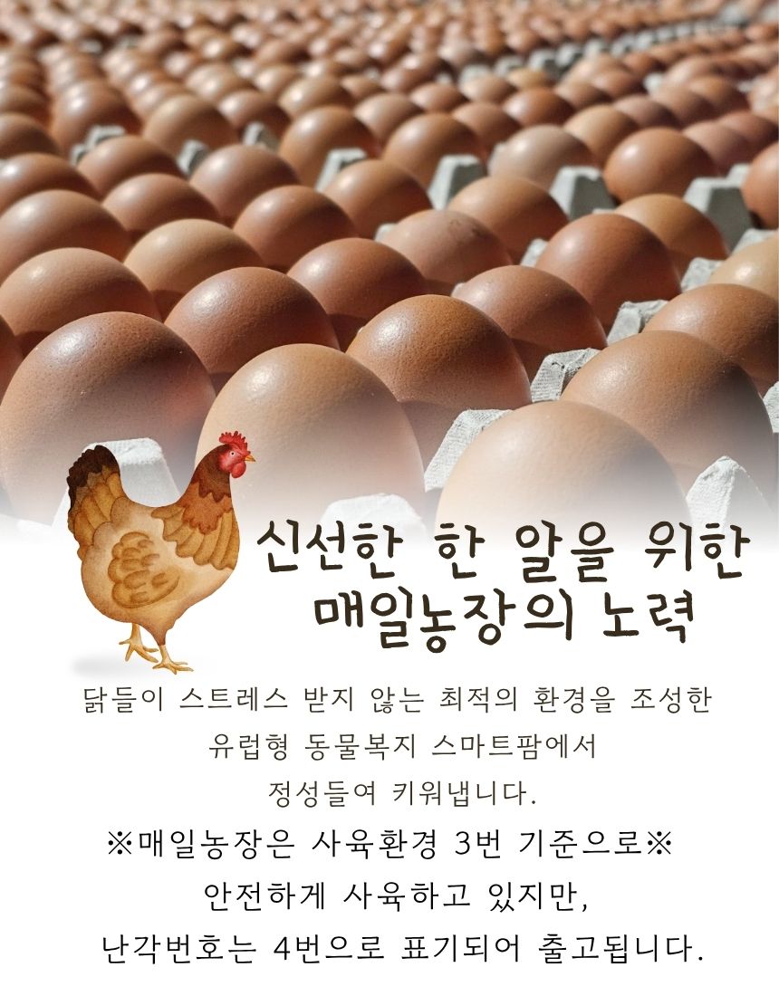 매일계란의 토스.jpg